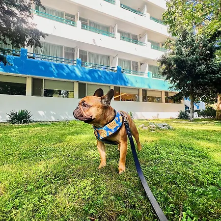 酒店 至爱酒店 维纳斯