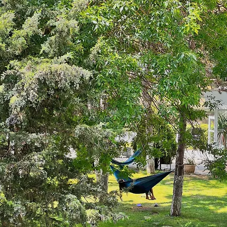 호텔 Favorit 비너스