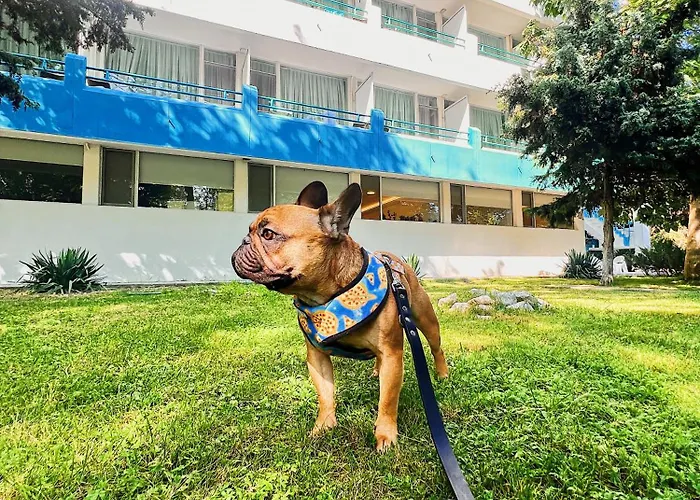 Ξενοδοχείο Favorit Venus