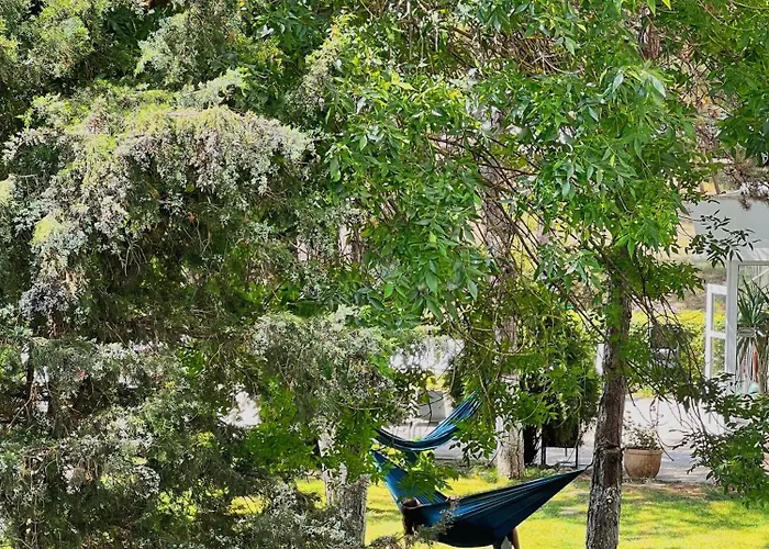 Ξενοδοχείο Favorit Venus